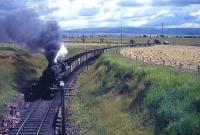 Standard mogul No 76096 approaches the Enterkine viaduct with a coal train for Ayr in August 1965.<br><br>[G W Robin /08/1965]