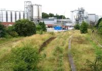 View west over the station site at Cameron Bridge towards the recently upgraded and extended Diageo distillery complex on 22 August 2008. The former Leven Railway route to Thornton Junction runs off to the right. Discussions have taken place regarding the possible reopening of the section to handle future rail based freight traffic at the distillery. Such a move would also give added impetus to the proposal to reopen the line through to Levenmouth, currently being pursued by the local authority in conjunction with Transport Scotland.   <br><br>[John Furnevel 22/08/2008]