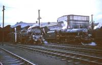 Early evening scene at Perth shed in the 1960s. Locomotives on shed include Standard class 4 no 80028 on the left and Black 5 no 44720 to the right.<br><br>[Robin Barbour Collection (Courtesy Bruce McCartney) //]