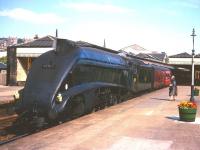 <I>'Very nice of you to say so Madam, I'll certainly pass that on to our cleaning team at Ferryhill...'</I> Smartly turned out A4 Pacific no 60019 <I>Bittern</I> attracts some attention shortly after arrival at Stirling with an Aberdeen - Glasgow service in the 1960s.<br><br>[Robin Barbour Collection (Courtesy Bruce McCartney) //]