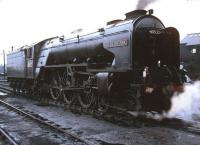 A2 Pacific 60532 <I>Blue Peter</I> standing outside Ferryhill shed circa 1965.<br><br>[Robin Barbour Collection (Courtesy Bruce McCartney) //1965]