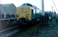 Montrose station sees 55015 <i>Tulyar</i> posing for the photographers on 24 October 1981 with the Deltic Preservation Society railtour <I>The Deltic Salute</I>.<br>
<br><br>[Colin Alexander 24/10/1981]