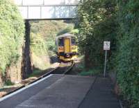 St Erth bound service pulls away from Carbis Bay. 153361 was still displaying Truro on the destination blind having arrived from Falmouth branch duties in a hurry to replace a failed 150 unit [See image 20776] on the St Ives line. <I>Pity about the foliage</I><br><br>[Mark Bartlett 18/09/2008]