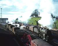 Comings and goings at the south end of Kingmoor Yard in the 1960s.<br><br>[Robin Barbour Collection (Courtesy Bruce McCartney) //]