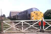 40003 stands at the Deepdale Junction level crossing ready to traverse the link through <I>Miley Tunnel</I> to the WCML at Preston around 1980. As the train comprises 20T hopper wagons these were probably empties from the nearby Deepdale Coal Concentration Depot as 16T mineral wagons were used to supply the Red Scar Courtaulds works near Ribbleton. View towards Ribbleton and Longridge. The line lasted a further ten years or so before full closure. [See image 35742] for the same location in 2011. <br><br>[Mark Bartlett //1980]