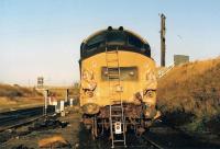 A sorry looking 37402 <I>Oor Wullie</I> stands at Millerhill in 1987, presumably following a serious altercation with <I>Fat Boab</I> or similar.<br><br>[Alan Cormack //1987]