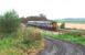 Situated a long way from the village it was supposed to serve, Singleton station closed in 1932. Until the 1990s a small signal cabin remained as an intermediate block post here but now only the approach road survives to identify the location and that is <I>clarty</I> to say the least as can be seen in this image of a 156 heading for Blackpool North. View towards Poulton-le-Fylde at Map Reference SD368369. <br><br>[Mark Bartlett 09/09/2008]