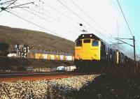 A pair of class 25s, with a northbound freight on the West Coast Main Line, passing Tebay in 1984<br>
<br><br>[Colin Alexander //1984]