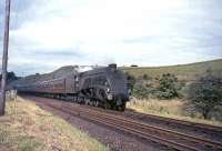 A-4 No 60007 <I>Sir Nigel Gresley</I> descends Kinbuck bank towards Dunblane in July 1965 with the 13.30 Aberdeen to Glasgow train.<br><br>[G W Robin 27/07/1965]