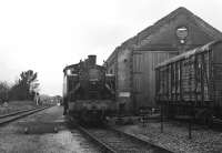 USA 0-6-0 <I>Yankee</I> Dock Tank 30075 (former Yugoslav Railways JZ 62-669) at Cranmore on the East Somerset Railway on 17 March 2008.<br>
<br><br>[Peter Todd 17/03/2008]