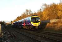 A First TransPennine class 185 looking even brighter than normal as it catches the low Autumn sun heads towards Chorley on 16 November 2008 with a service for Manchester Airport.<br><br>[John McIntyre 16/11/2008]