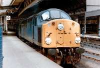 A class 40 stands with a train at Newcastle Central platform 9 in 1983.<br><br>[Colin Alexander //1983]