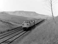 A class 40 on a parcels train at Ais Gill in November 1983 with Wild Boar Fell dominating the background. <br>
<br><br>[Colin Alexander /11/1983]