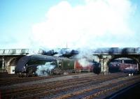 Gresley A4 Pacific no 60019 <I>Bittern</I> leaving Perth Station in October 1965 with the 7.10am Aberdeen - Buchanan Street train.<br><br>[Robin Barbour Collection (Courtesy Bruce McCartney) 29/10/1965]