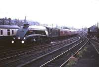 A4 Pacific 60019 <I>Bittern</I> leaves Stirling in 1965 with an Aberdeen - Buchanan Street train.<br><br>[Robin Barbour Collection (Courtesy Bruce McCartney) //1965]