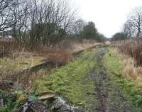 Remains of one of the platforms at the former Plains station (closed 1951) on the eastern outskirts of Airdrie. Photographed on 26 December 2008 looking towards Bathgate, with the old level crossing behind the camera.<br><br>[John Furnevel 26/12/2008]