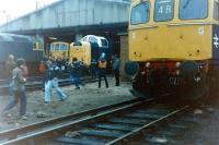 Deltic 55015 <I>Tulyar</I> in strange company at Eastleigh shed in October 1981.<br><br>[Colin Alexander 17/10/1981]