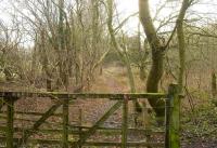 View along the trackbed of the 1883 Swindon and Highworth Railway in January 2009. This section of the line, which closed around 1965, passes through a wood near Highworth and is now used as a footpath. <br><br>[Peter Todd 11/01/2009]