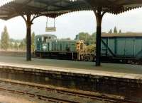 03179 shunts waggons on a quiet summers afternoon at Ipswich station on 29 July 1981.<br><br>[Colin Alexander 29/07/1981]