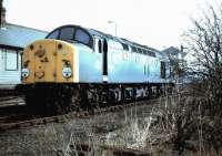 View towards Newcastle from the south side of Haltwhistle station circa 1984 with 40056 standing alongside the old Alston branch platform.<br><br>[Colin Alexander //1984]