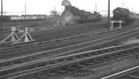 Looking in the direction of the Edinburgh line from Carstairs station in 1964. These are the scrap roads - and the interest is the variety of locos awaiting disposal, including a WD 2-10-0, Caley 4-4-0, Caley 3F and, over to the left, a couple of Duchess/Coronation Pacifics. The buildings of the State Hospital stand in the left background.<br><br>[Colin Miller //1964]