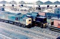 One of the NCB Class 14s stands alongside 37250 at Ashington in July 1982. In the background are Ashington Colliery workshops containing the usual assortment of wagons and other equipment.<br><br>[Colin Alexander /07/1982]