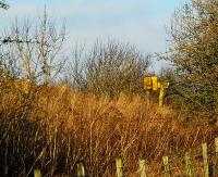 Milepost 18 midway between Stewarton Viaduct and a roadbridge over the A735 where a fuel oil train heading south for Riccarton derailed on 27 January 2009. New points for a dynamic loop seem to be in the field nearby.<br><br>[Ewan Crawford /01/2008]