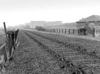 Looking east along the Stirling-Dunfermline railway on the western outskirts of Dunfermline in 1987. View is from the bridge over William Street and shows track being lifted following the closure of Comrie Colliery [See image 22094].<br><br>[Bill Roberton //1987]