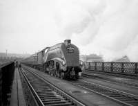 <h4><a href='/locations/K/King_Edward_Bridge'>King Edward Bridge</a></h4><p><small><a href='/companies/K/King_Edward_Bridge_North_Eastern_Railway'>King Edward Bridge (North Eastern Railway)</a></small></p><p>The RCTS/SLS <I>Jubilee Requiem</I> of 24 October 1964 was organised to mark the end of A4 running on the London - Newcastle route and was hauled throughout by 60009 <I>Union of South Africa</I>. The train reached Newcastle Central via the High Level Bridge and returned via the King Edward Bridge, on which it is seen here heading back to Kings Cross. See image <a href='/img/27/5/index.html'>27005</a></p><p>24/10/1964<br><small><a href='/contributors/Robin_Barbour_Collection_Courtesy_Bruce_McCartney'>Robin Barbour Collection (Courtesy Bruce McCartney)</a></small></p>