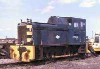 <I>A long way from home at Reading Depot.</I> The former D2420, 06003, is now the sole surviving Barclay Class 06 0-4-0 DM shunter and after a period at Barrow Hill is currently at Peak Rail. It may have escaped the scrap man by being transferred from Scotland to Departmental duties at Reading Signal Works. Here it is shown, newly renumbered as 97804, at Reading Depot just prior to transfer to the works to replace 97020 [See image 22413]. The Barclay stayed there until 1984 when it moved into preservation.<br>
<br><br>[Mark Bartlett 18/07/1981]