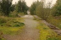 Looking to Callander from the remains of the rather massive Doune station island platform. Site now occupied with housing. Compare with image 20457.<br><br>[Ewan Crawford //1989]