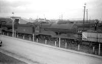 Robinson Ex-GCR D11 <I>Director</I> 4-4-0 no 62666 <I>Zeebrugge</I> (centre) with 62670 <I>Marne</I> to the right, standing at Darnall shed, Sheffield in April 1960. Both locomotives were withdrawn towards the end of that year and subsequently cut up at Doncaster Works. The 10-road steam shed at Darnall eventually closed in 1963. After use as a wagon repair depot for several years it fell into disuse and was finally demolished in 1995.<br>
<br><br>[Robin Barbour Collection (Courtesy Bruce McCartney) 10/04/1960]