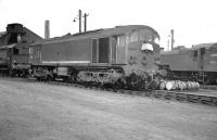 One of the 1958 MetroVick Co-Bo diesels stands at Polmadie c 1960 having worked in on the overnight <I>Condor</I> to Gushetfaulds. The nightly London - Glasgow container service was introduced in 1959 (its name having been derived from the words CONtainer Door to doOR) and was initially (and unfortunately) assigned to these particular locomotives.  Notoriously unreliable from the outset, the Co-Bos were eventually consigned to Barrow shed where they ended their days on local passenger and freight duties until finally withdrawn in 1968 after only 10 years in traffic.<br>
<br><br>[K A Gray //1960]