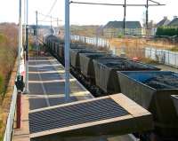 An eastbound coal train rumbles through Holytown station in February 2006. The edge of the former bay platform can be seen on the left and what is now open ground to the south of the station once accommodated a sizeable yard. The train is signalled for the Cleland & Midcalder line at Holytown Junction.<br><br>[John Furnevel 13/02/2006]