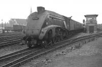 A4 Pacific 60034 <I>Lord Farringdon</I> approaching Doncaster in July 1962 with a northbound ECML service.<br><br>[K A Gray 28/07/1962]