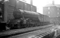 Gresley V2 2-6-2 no 60955 on shed at St Margarets c 1962. Beyond the wall is Restalrig Road South.<br><br>[K A Gray //1962]
