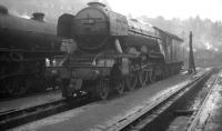 A3 Pacific 60041 <I>Salmon Trout</I> stands on St Margarets shed, in February 1965. The locomotive was withdrawn at the end of that year.<br><br>[K A Gray 06/02/1965]