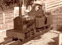 Scene on the 15 inch gauge Heatherslaw Light Railway at Etal, Northumberland, on 29 September 2007.<br>
<br><br>[Colin Miller 29/09/2007]