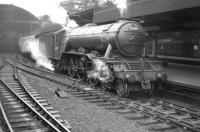 A3 Pacific 60049 <I>Galtee More</I> stands at Newcastle Central in June 1958 with a down express.<br><br>[Robin Barbour Collection (Courtesy Bruce McCartney) 07/06/1958]