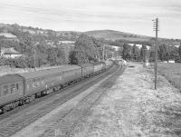 The morning train for the far north leaving Dingwall behind a type 2 in August 1966.<br><br>[Colin Miller /08/1966]