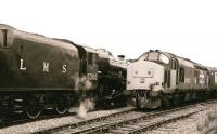 37423 stands at Mallaig on 23 August 1987 alongside 5305 on a steam special.<br><br>[Peter Todd 23/08/1987]