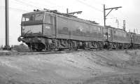 26005 stands at the head of a lineup of EMI (BR Class 76) 1.5kV DC electric locomotives in October 1962. They are standing in the raised sidings at Wath, awaiting their turns to take coal trains west over the Woodhead route, the task for which they were built. The main Wath marshalling yards are behind the camera, with 41C Wath shed standing off to the left.<br><br>[K A Gray 07/10/1962]