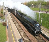 <h4><a href='/locations/M/Musselburgh'>Musselburgh</a></h4><p><small><a href='/companies/N/North_British_Railway'>North British Railway</a></small></p><p>Gresley A4 Pacific no 60009 <I>Union of South Africa</I> heading  south through Musselburgh on 14 April with the returning <I>Great Britain II</I> railtour.</p><p>14/04/2009<br><small><a href='/contributors/John_Furnevel'>John Furnevel</a></small></p>