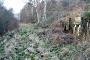 In need of some work but featuring original cast-iron fireplace. A draughty ex lineside hut midway between Thornielee and Clovenfords. View looks west. Many of the lineside huts survive on the Peebles loop, unlike this one.<br><br>[Ewan Crawford 17/01/2009]