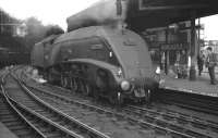 60017 <i>Silver Fox</i> at the west end of Newcastle Central.<br><br>[K A Gray //]