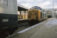 Externally traffic - scarred, but internally as fit as a proverbial butcher's dog (one of impeccable pedigree, naturally), locomotive 55 017 The Durham Light Infantry arrives to take command of its train at around 11.20 a.m. on Monday March 13th 1978. It will shortly race up the ECML to Edinburgh at speeds in excess of 100 mph.<br><br>[Mark Dufton 13/03/1978]