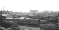 View east over a busy Ayr shed, thought to have been taken on 10 April 1966, with Black 5s and Crabs a-plenty standing in the yard. Blackhouse Junction signal box can be seen in the right background.<br><br>[K A Gray 10/04/1966]