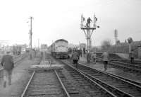 View north at Maud on 24 May 1969 showing D5323 with the GNSRA <I>Formartine & Buchan Excursion</I> railtour on a photo stop. <br>
<br><br>[A Snapper (Courtesy Bruce McCartney) 24/05/1969]