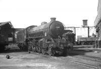 Thompson B1 4-6-0 no 61019 <i>Nilghai</i> photographed on Gateshead shed circa 1965.<br><br>[K A Gray //1965]