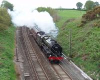 46115 <I>Scots Guardsman</I> maintains a steady 75mph as it passes under Cleveley Bank Lane bridge, between Scorton and Bay Horse, heading for Carlisle with a special from Birmingham (steam hauled from Preston) on 9 May. <br><br>[Mark Bartlett 09/05/2009]